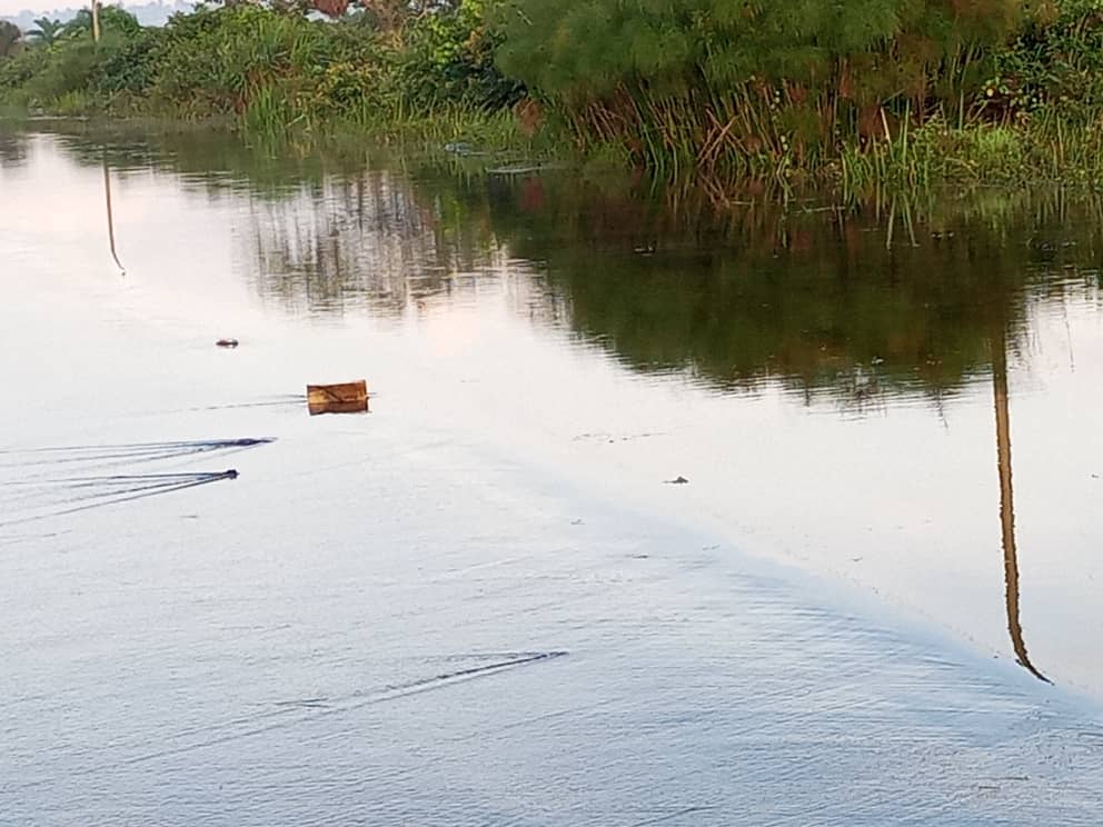 Uganda Police Force tweet media