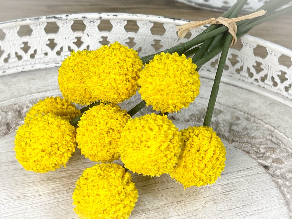 breitzler's tweet photo. Ich freue mich, den jüngsten Neuzugang in meinem #etsy-Shop vorzustellen: Craspedia Strauß Seidenblumen künstliche künstlich gelb Kugel https://t.co/72LLFcRZUm #gelb #geburtstag #ostern #seide #grun #bunterstrauss #bastelbedarf #deko #bastelmaterial https://t.co/hXalr4qI8l