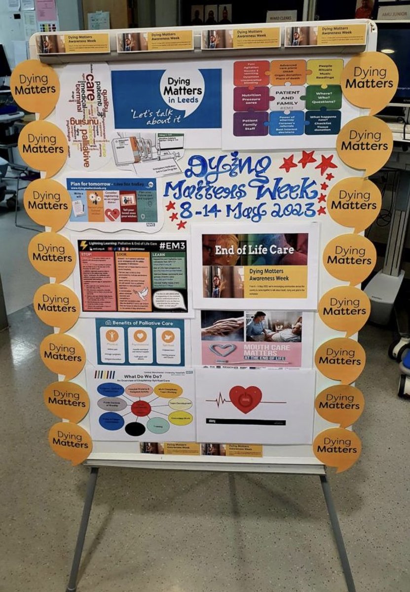 sherbabe tweet media