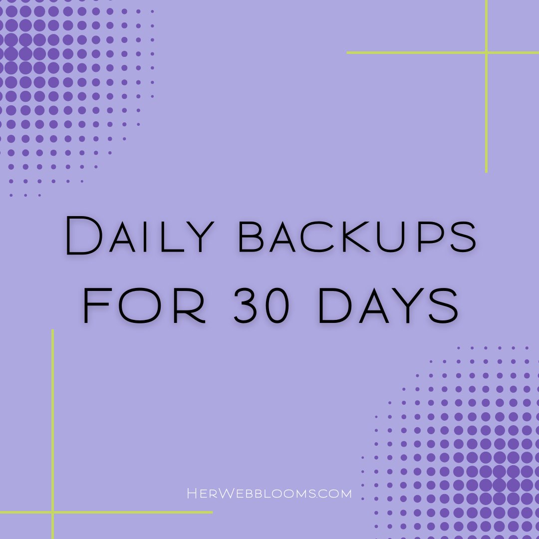 What a web host should offer:
Daily backups for no less than 30 days. Why 30 days? Many hosts offer one week 🤨 7 days. That's a vacation or a menstrual cycle or a temporary illness. You need more time to fix the issue.

What other features should a web host offer?
1of5