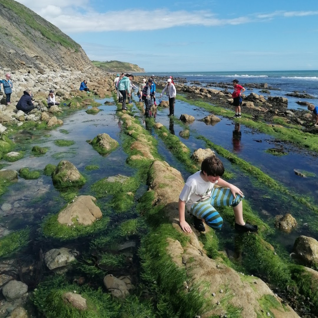 The_RoyalSchool's tweet photo. Crabsolutely clawsome fun on the beach this afternoon for Prep 6. Rockpooling and crab hunting while the sun shone.
#TheRoyalSchool #Prep6 #Residential #ASenseOfFun #FutureReady #EveryDayShapesAFuture https://t.co/JLD9coRc7D