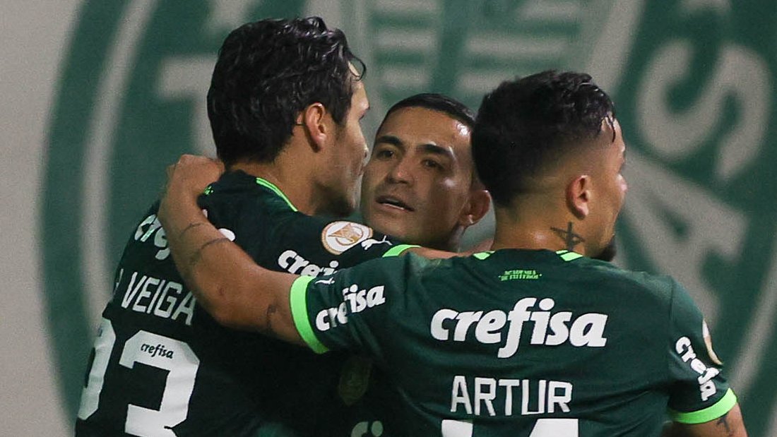 Sofascore Brazil on Twitter "🔎 Curiosidade Quatro times da Série A ainda estão invictos como