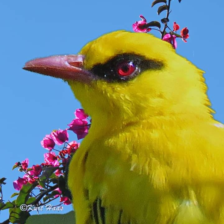 abunasser (@sorkarmoni) on Twitter photo 