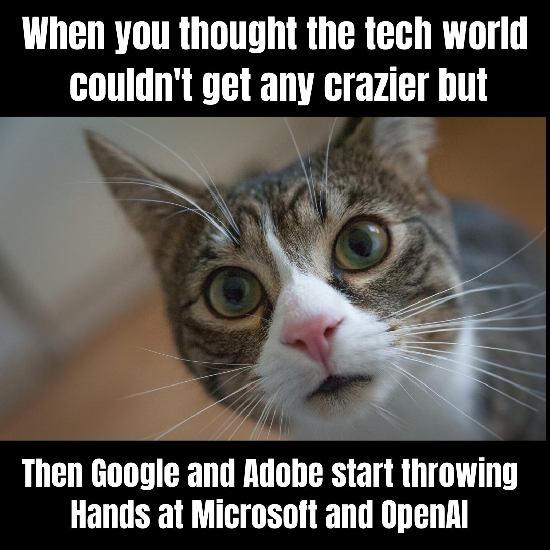 Toologyai's tweet photo. Google opens up access to Bard, its AI chatbot, to the masses at I/O 2023, paving the way for more inclusive and comprehensive AI development.

#ai #development #GoogleIO https://t.co/RXOSD2MQbf