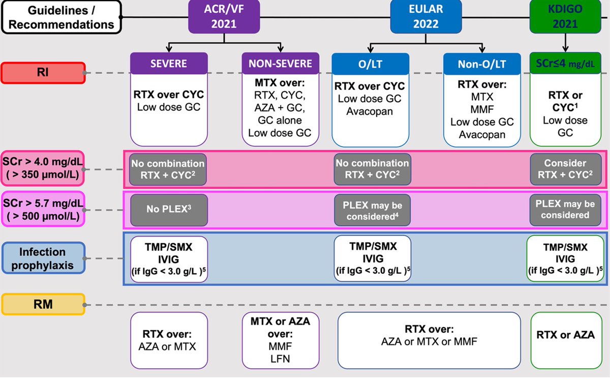 Timely publication of a comparison of the ACR 2021, EULAR 2022 and KDIGO 2021 GL/Rec on the management of ANCA-associated glomerulonephritis. #NephJC <a href="/goKDIGO/">KDIGO</a> - on behalf of <a href="/ERAkidney/">ERA - European Renal Association</a> Immunonephrology Working Group <a href="/hjanders_hans/">Hans-Joachim Anders</a> 
academic.oup.com/ndt/advance-ar…