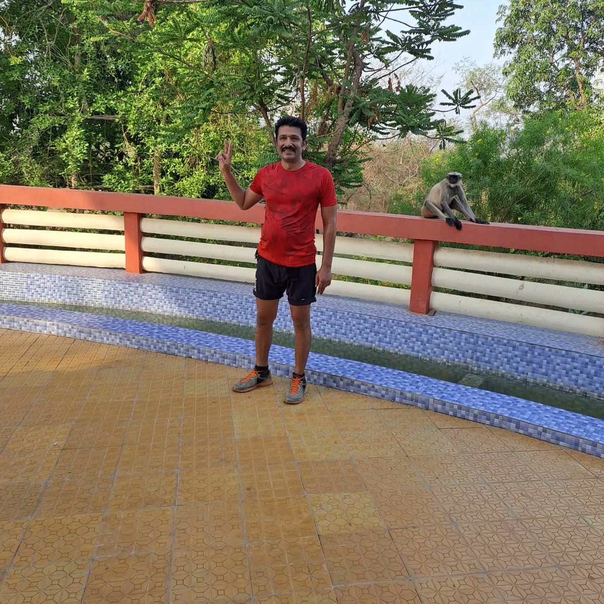 manishpatilus's tweet photo. #EatFresh #drink and be #sweety.
Can someone please give a #summer speeding ticket ?
#garryvee #Environment #jogger #nationalpark #green #CoolSummer #savenature #echoeco #मराठि #आयुष्य #अभिजातमराठी https://t.co/JULmBtptvN