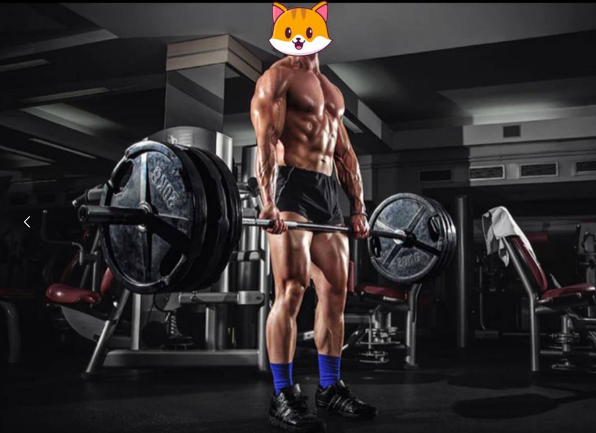 catecoin's tweet photo. Alpha #memecoin(#Catecoin)🐱 don't run in packs.
Knows it power🦾 & works in silence.
#Catecoin #web3 #Catpay #cryptocurrency https://t.co/VJkZ0hVo7r