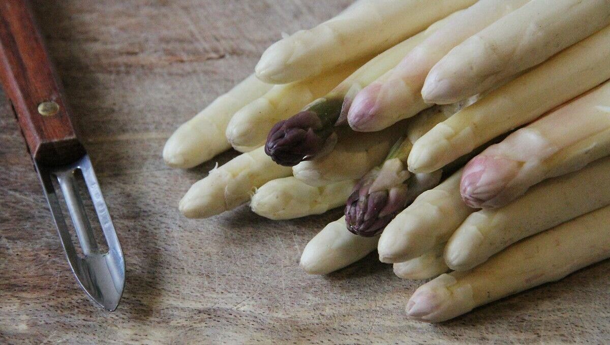 icigascogne's tweet photo. Les asperges des Landes en bonne voie pour obtenir le Label rouge
➡️ https://t.co/DbpgoWJR3M https://t.co/xWBKmuT8dW
