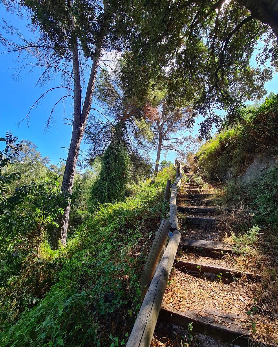 costablancaorg's tweet image. ¿Has oído hablar de la #FontdelBaladre? 🤔 Un área de descanso en #MurodeAlcoy en la que podrás disfrutar de la belleza y tranquilidad de la naturaleza en estado puro. Perfecto para desconectar.😍 #CostaBlanca