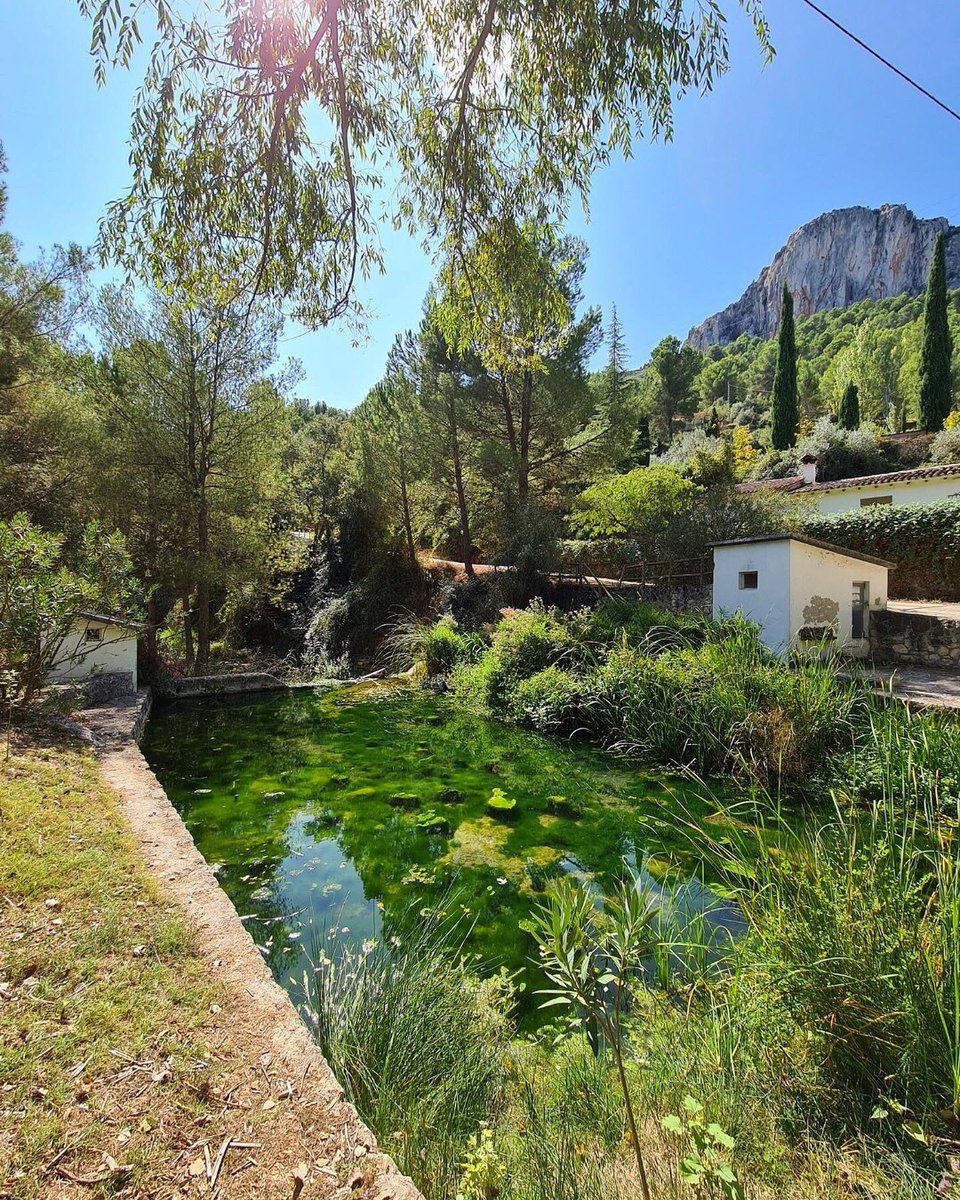 costablancaorg's tweet image. ¿Has oído hablar de la #FontdelBaladre? 🤔 Un área de descanso en #MurodeAlcoy en la que podrás disfrutar de la belleza y tranquilidad de la naturaleza en estado puro. Perfecto para desconectar.😍 #CostaBlanca