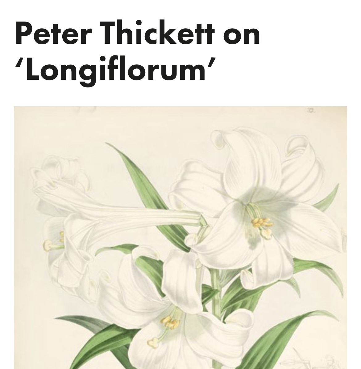 propelmagazine's tweet photo. New supplementary content for the Spring 2023 Poetry Review 👀 

feat. Propel contributors @peterjthickett @itsamule 

https://t.co/UQ8mTBeTQA

https://t.co/7VhtstMXGa https://t.co/LxUWhqaprS
