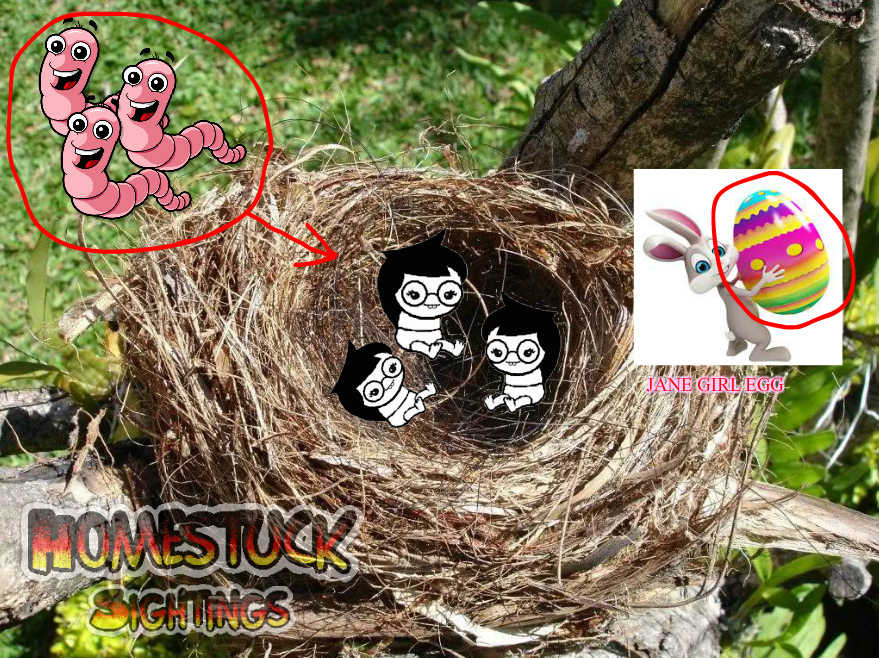 StuckieSighting's tweet photo. #NatureSunday ๐ฅณ
Wowie ๐ look at these baby girl species in the wild? We were able to captUre them in their nest, waiting for the mother women harls to return with sweet worm! ๐ชฑ
How adorbaby! Happy Hunting! โบ๏ธ https://t.co/vbJCVwyPV6
