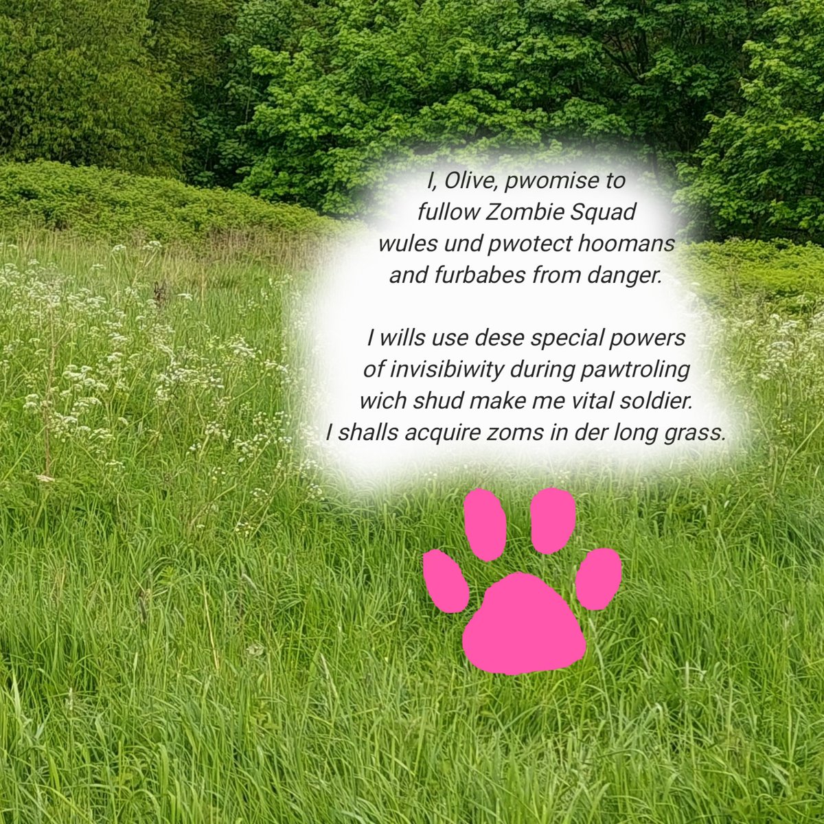My Oath to <a href="/ZombieSquadHQ/">ZombieSquadHQ💖💚🧡💚🩵©</a> <a href="/TheCatMalice/">Malice & Mayhem🩵#RIPPandora #ZSHQ</a> #DogsofTwittter