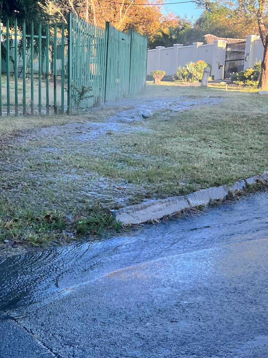 Sameer T tweet media