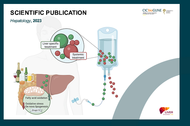 CICbioGUNE's tweet photo. Researchers from @chantarlab @chantar_m @CICbioGUNE @brta_eus @cabimer @CIBERehd and @ciberdem (@CIBER_ISCIII) identify #mitochondrial activity as a new therapeutic target for alcohol-induced #liverdisease. 
🎉 Congratulations to all the authors!
🔗 https://t.co/jOuv0nozjB https://t.co/zrB6yVyxsj