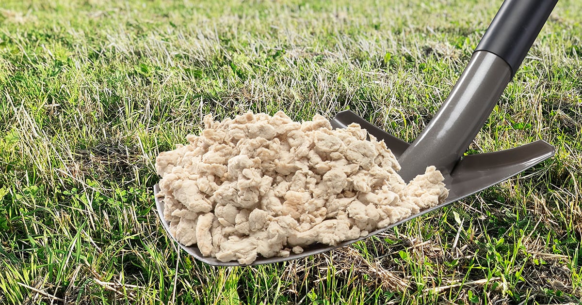 #Circular economy firm <a href="/soilfoodoy/">Soilfood</a> uses #sidestreams from <a href="/MetsaBoard/">Metsä Board</a>'s mills to create innovative soil improvement fibres. 🔄

 These fibres increase the fertility of the #soil and improve its water retention capacity. 🌱

👉 ow.ly/pnZW50OkR04 #goodnewsfromfinland #finland