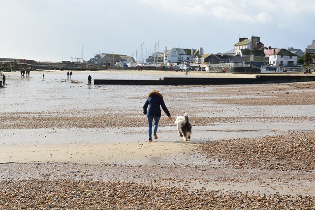 NBT Staff Experience tweet media