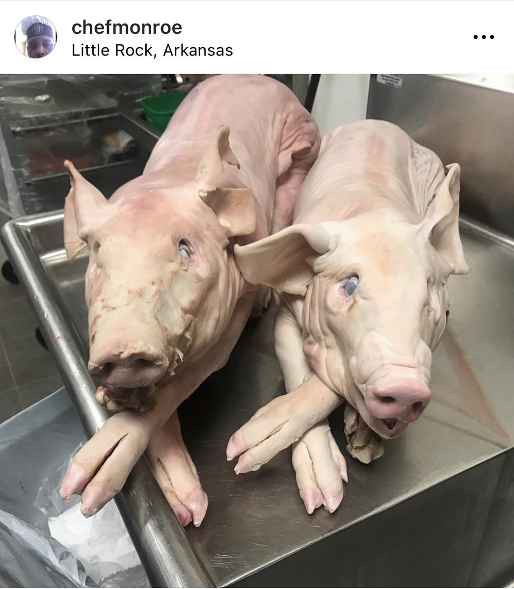 chef_monroe's tweet photo. Step one #anotherdayatwork https://t.co/uhPzYLnCvy