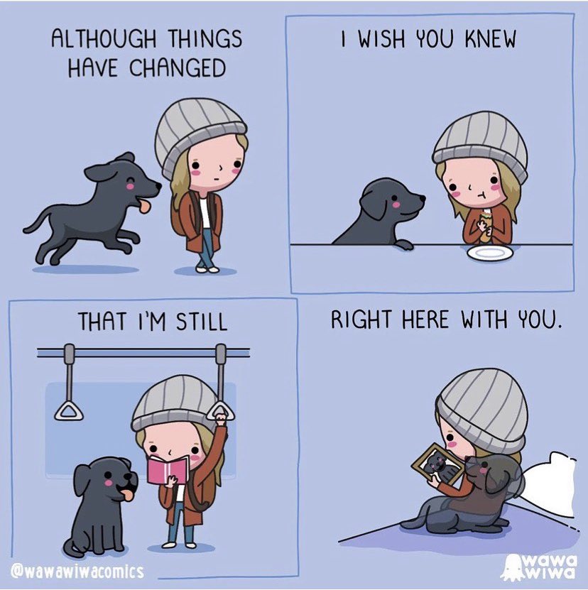 JBJamison's tweet photo. @BradleyWhitford This piece from @wawawiwacomics always helps my heart. May Spirit Otis live forever in yours 💕 https://t.co/9QMGGA82JN