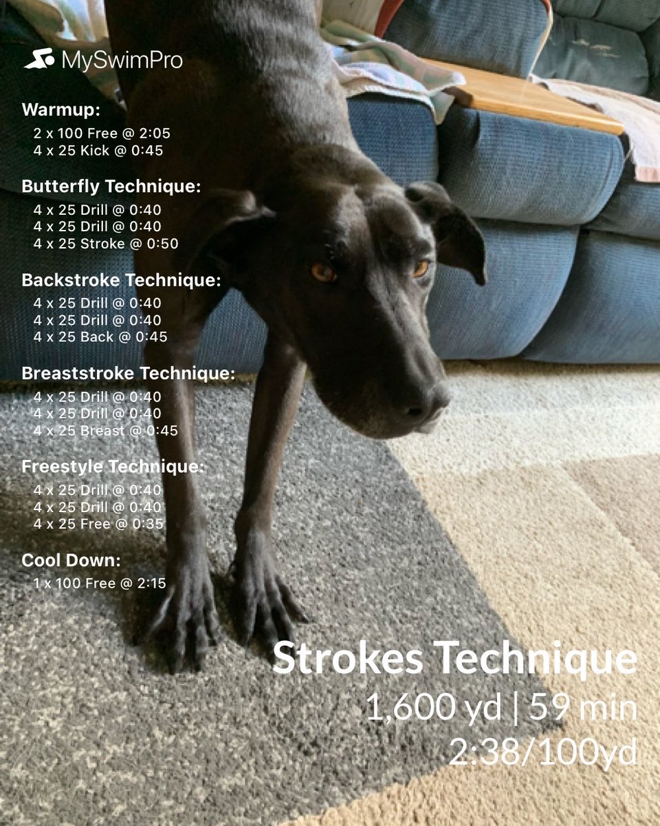 thehund's tweet photo. I just swam 1600 yards with @myswimpro #MySwimPro #fitbit #fitbitversa3 #versa3 #weebfit https://t.co/k1WIQ1b3SA