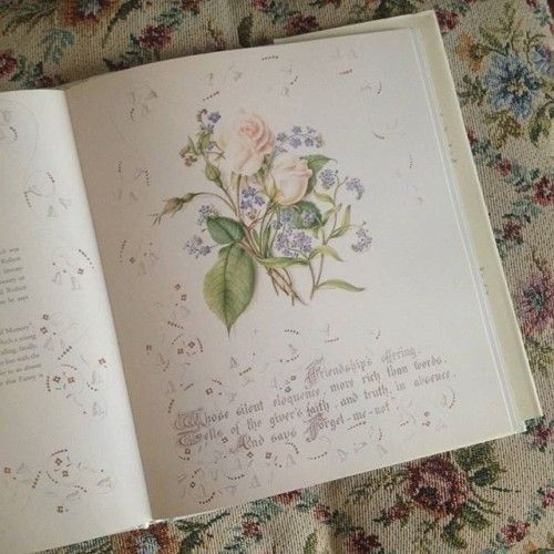 stella 🕊️ tweet media