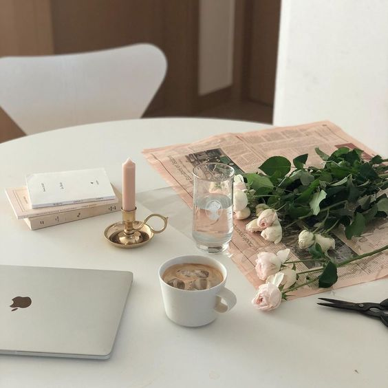 stella 🕊️ tweet media