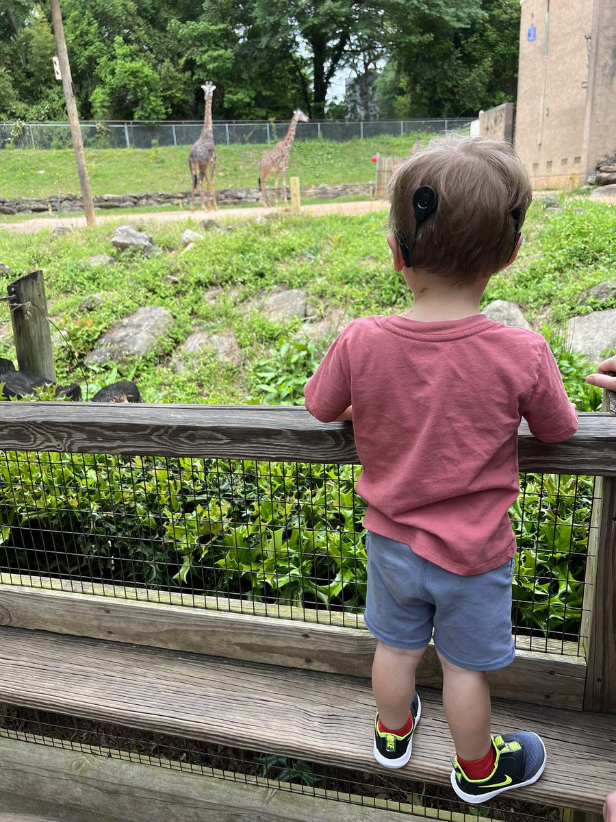 PotterfieldTom's tweet photo. @Chime This is my main priority and reason. He was born deaf and have cochlear implants. Been spending $$ out of pocket because of no insurance for implants batteries and supplies. #WhyIChime https://t.co/HtrcONtwlh