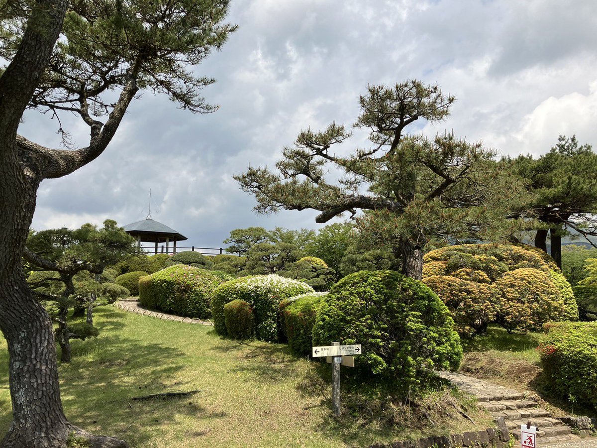 onshihakone tweet picture