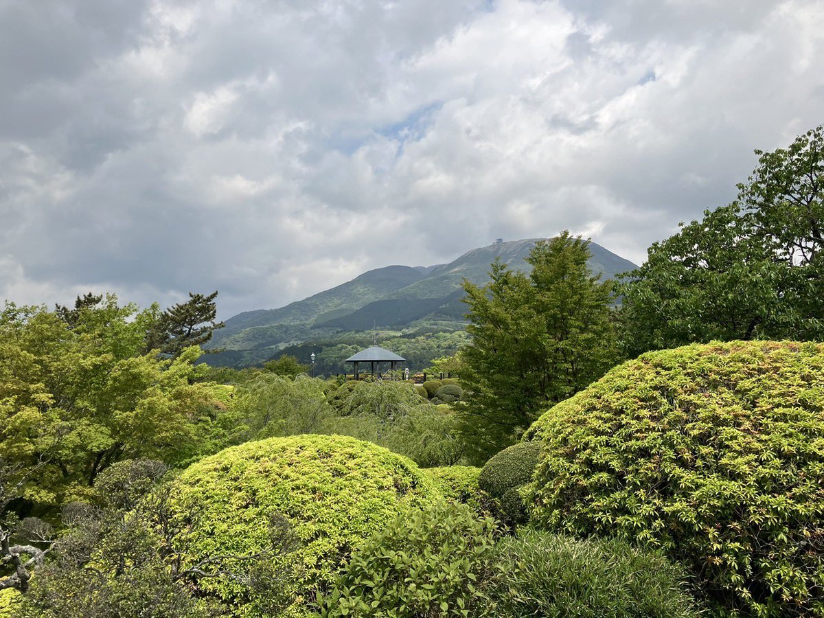 onshihakone tweet picture