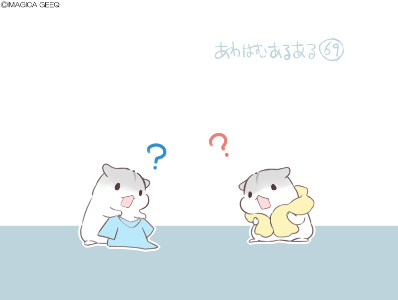 あわはむ＠合わせハムハム公式 tweet media
