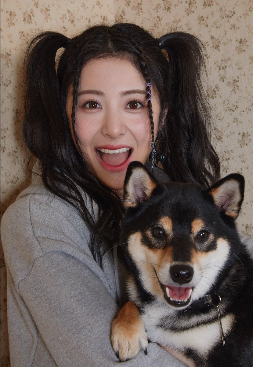 사또밥 tweet media