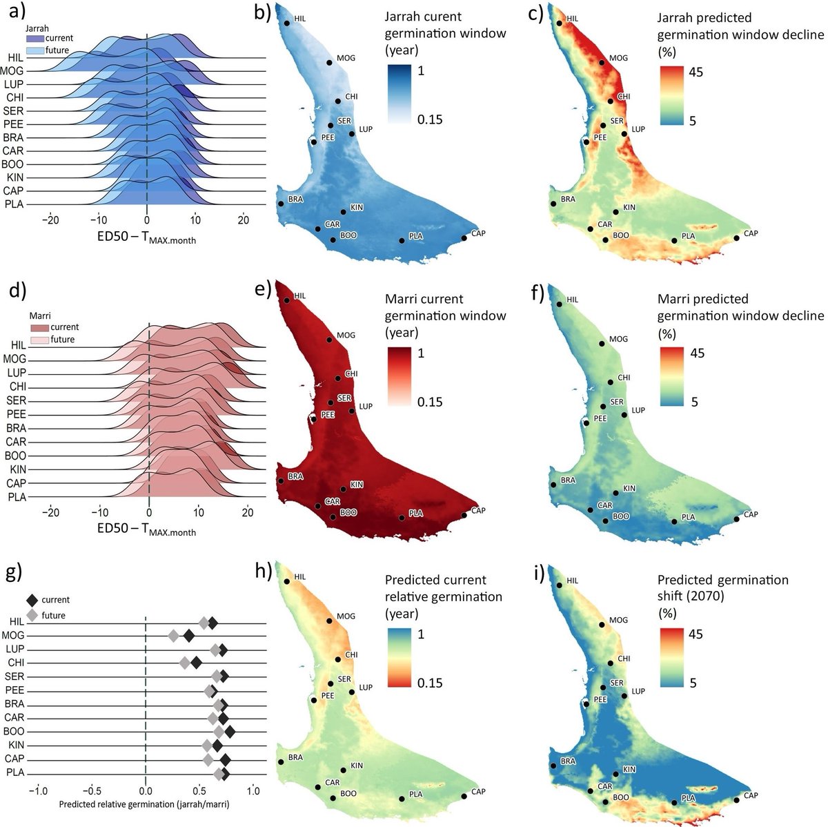 João Filipe 🌷 (@jcmfilipe4) on Twitter photo We just published a new paper at <a href="/PlantEnvInterac/">Plant-Environment Interactions</a> <a href="/wileyplantsci/">Wiley Plant Science</a> with some sobering findings. Our latest research at <a href="/Science_DBCA/">Biodiversity and Conservation Science</a> sheds light on future forest composition in Western Australia under a climate change scenario. Read the full study here: doi.org/10.1002/pei3.1… We just published a new paper at <a href="/PlantEnvInterac/">Plant-Environment Interactions</a> <a href="/wileyplantsci/">Wiley Plant Science</a> with some sobering findings. Our latest research at <a href="/Science_DBCA/">Biodiversity and Conservation Science</a> sheds light on future forest composition in Western Australia under a climate change scenario. Read the full study here: doi.org/10.1002/pei3.1…