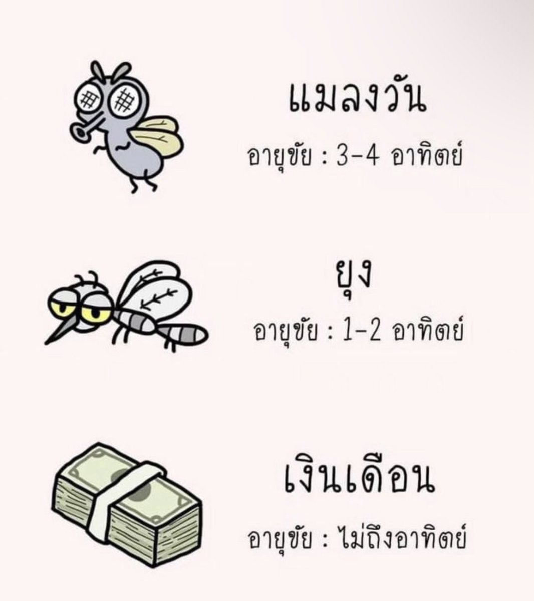 หมาดำตัวนี้ยังหวังดีกับเธอเสมอ tweet media