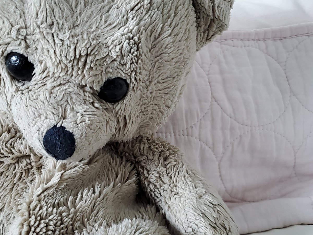 MrBusaOCSB's tweet photo. Day 8: Texture. Close-up time! My wife's childhood teddy bear. https://t.co/KPEdZmjdV2