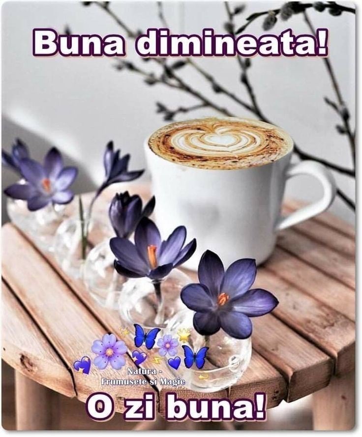 VojkicV's tweet photo. Bunä dimineata, prieteni mei!☕️☕️🍀☀️💐🌹 https://t.co/agZsaI25yb