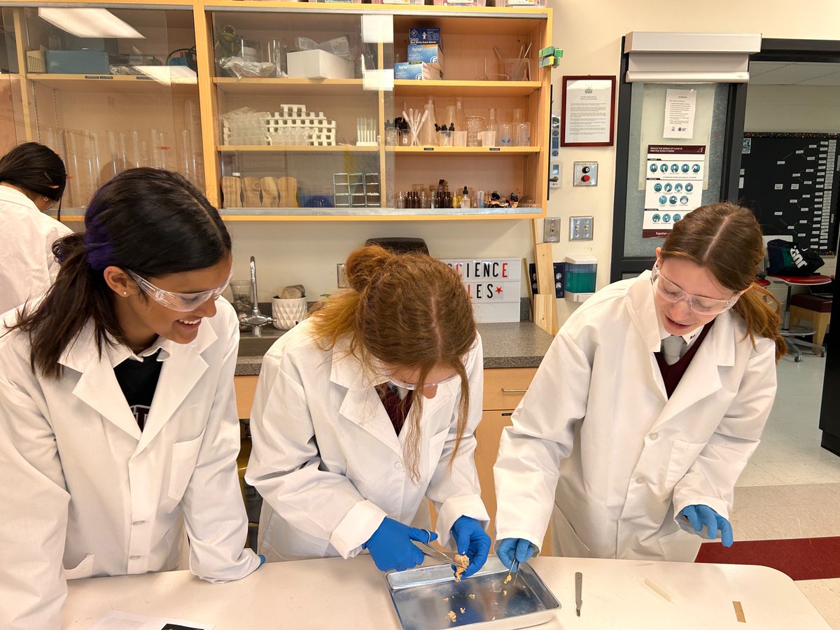 Our eye dissection was "enlightening" 🤣👁️ <a href="/RundleJrHigh/">Rundle College Jr. High</a> #becurious