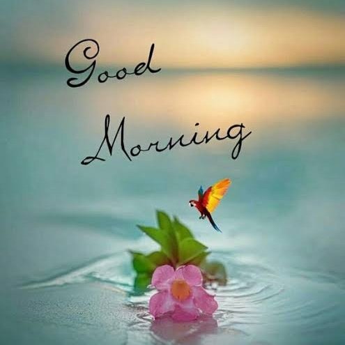 yesanythings's tweet image. #NewProfilePic