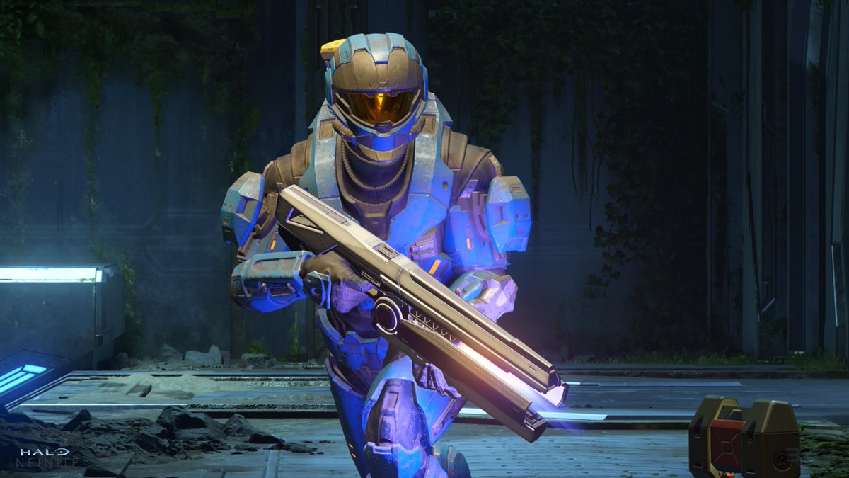 Halo tweet media