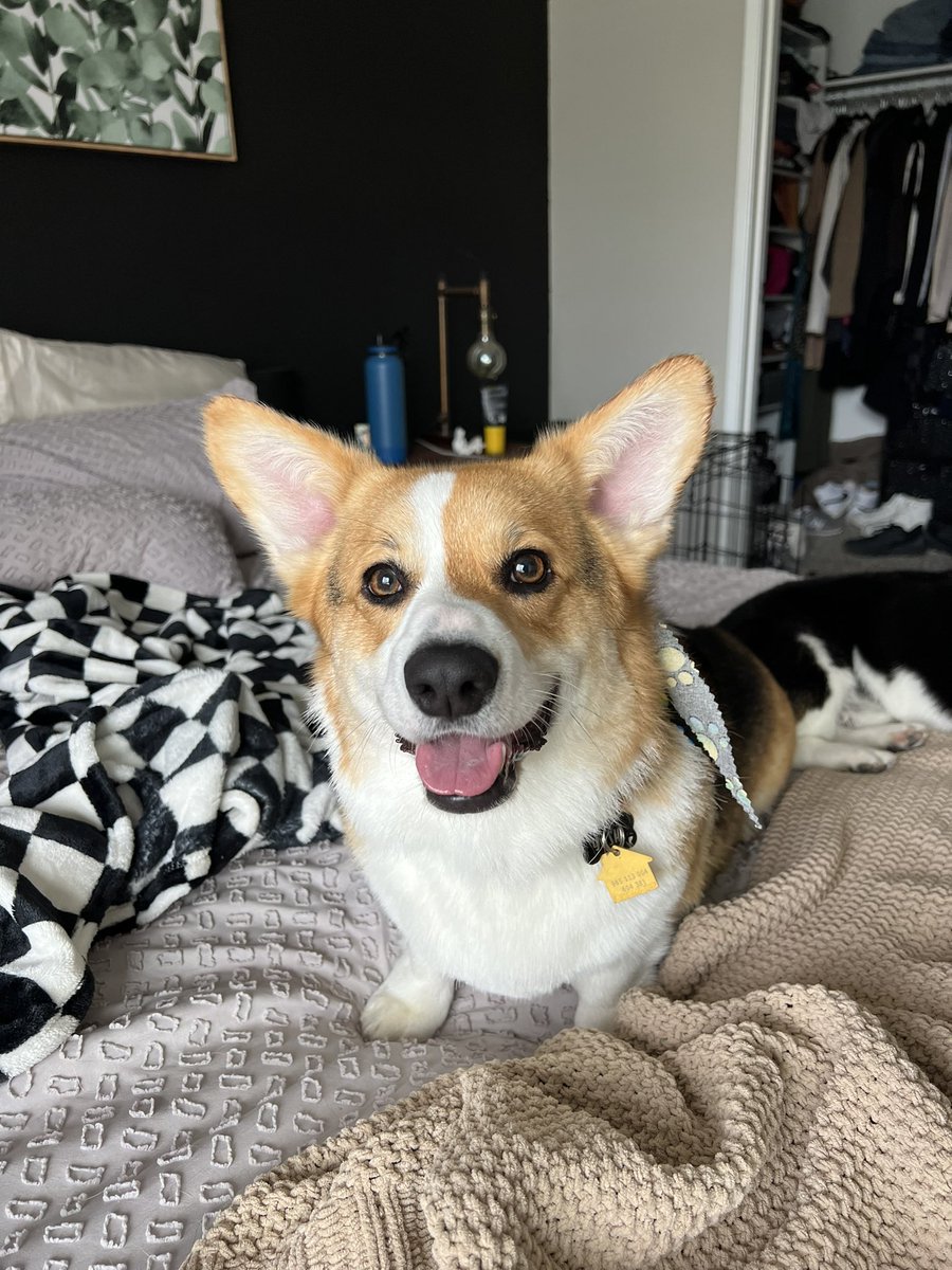 Freshly groomed today🫶🏽