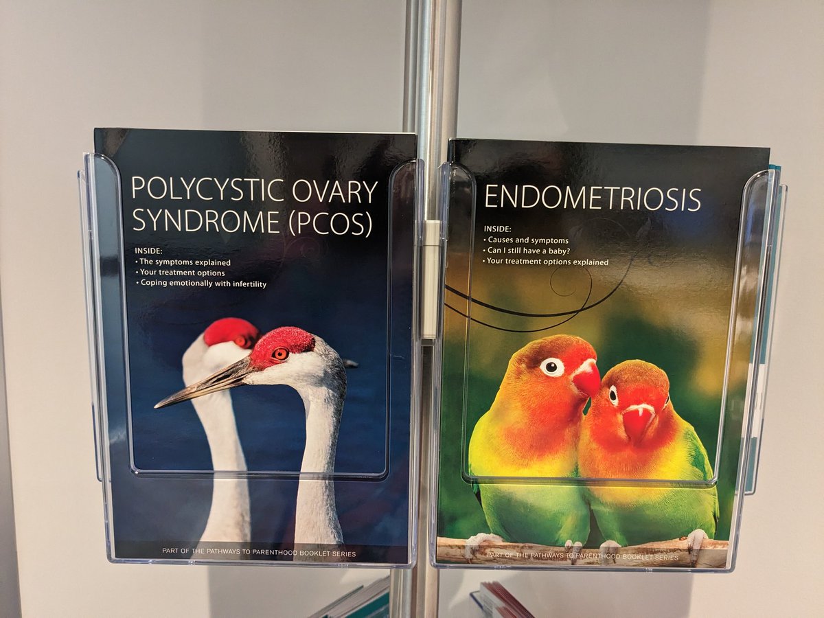 In every IKEA there is a magical filing cabinet labeled raccoons, DO ...