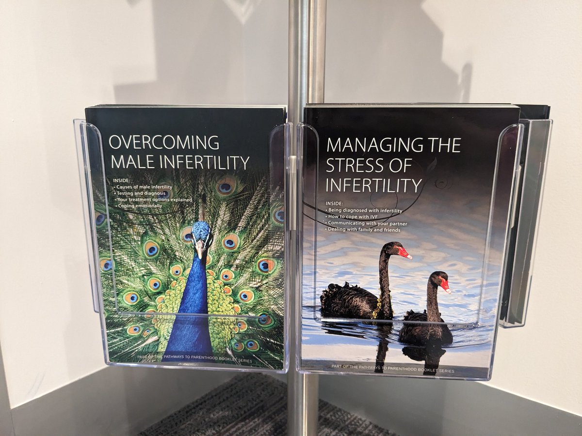 In every IKEA there is a magical filing cabinet labeled raccoons, DO ...