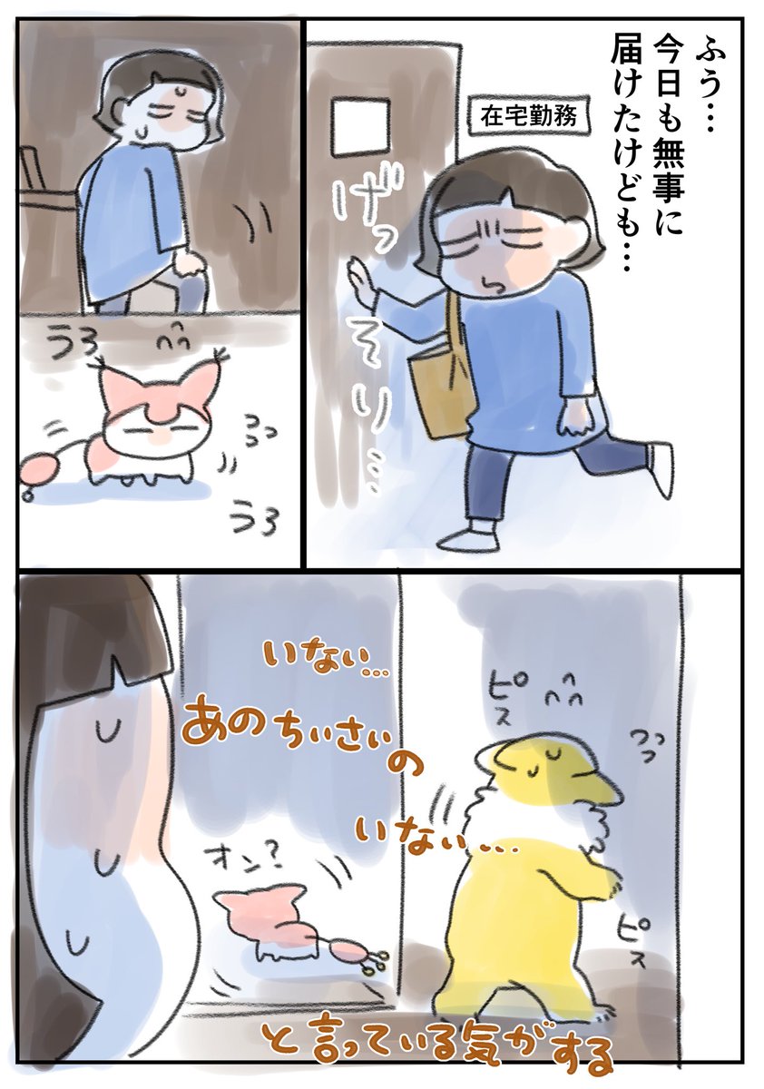 ポケモン世界の育児エッセイ6 #ポケモンと生活