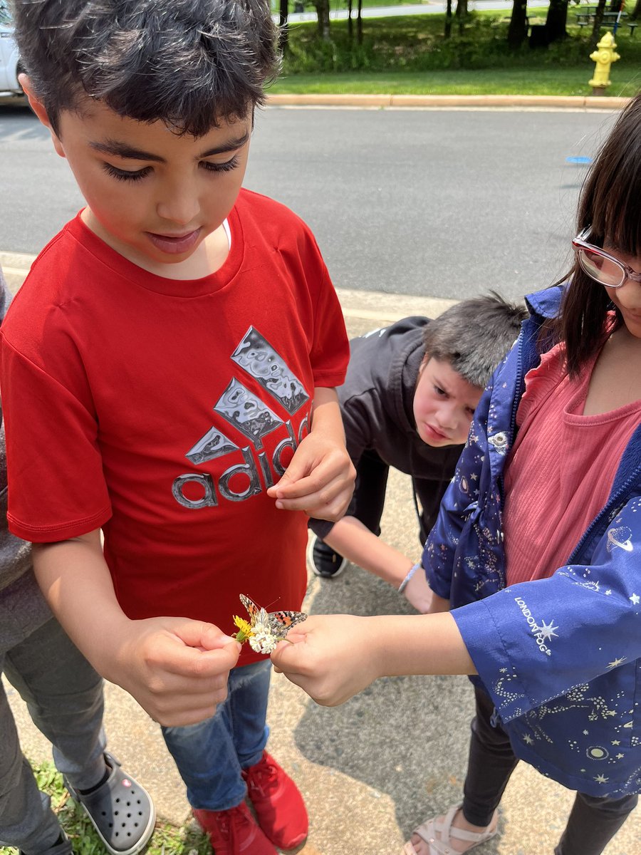 We released our butterflies today! 🦋