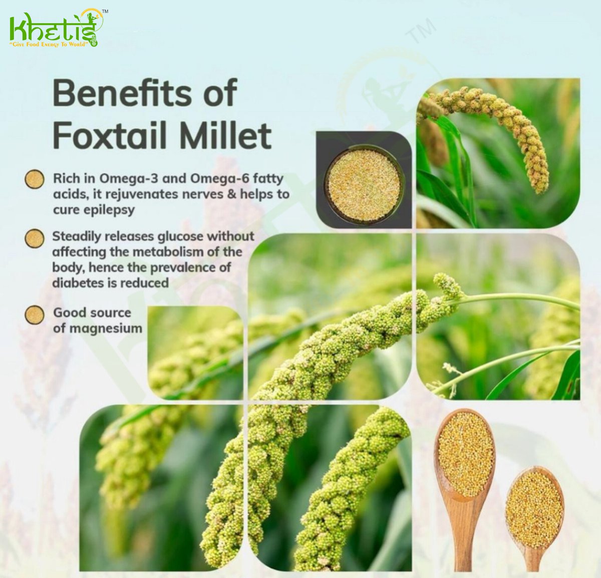 OKhetis's tweet photo. Millets are original food. 

#khetis #Eurovision2023
#ChampionsLeague  @IYM2023 @Agriculturehry @AgriGoI @FAO @ICRISAT @MilletsOfIndia @MOFPI_GOI @pmfby @REAPUttarakhand @worldfoodindia @IYM2023 https://t.co/xqOqMdFUly