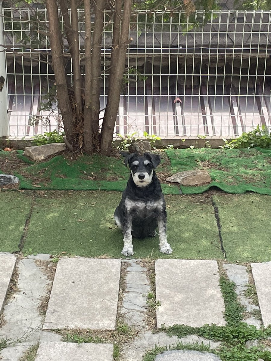 6bowwow's tweet photo. [외출 퀘스트] 문지기를 통과하라 https://t.co/V5EmFYmxB1