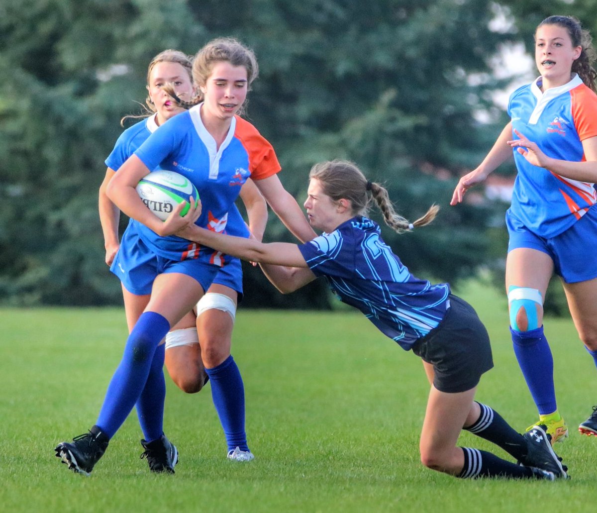 Jace Forsyth tweet media