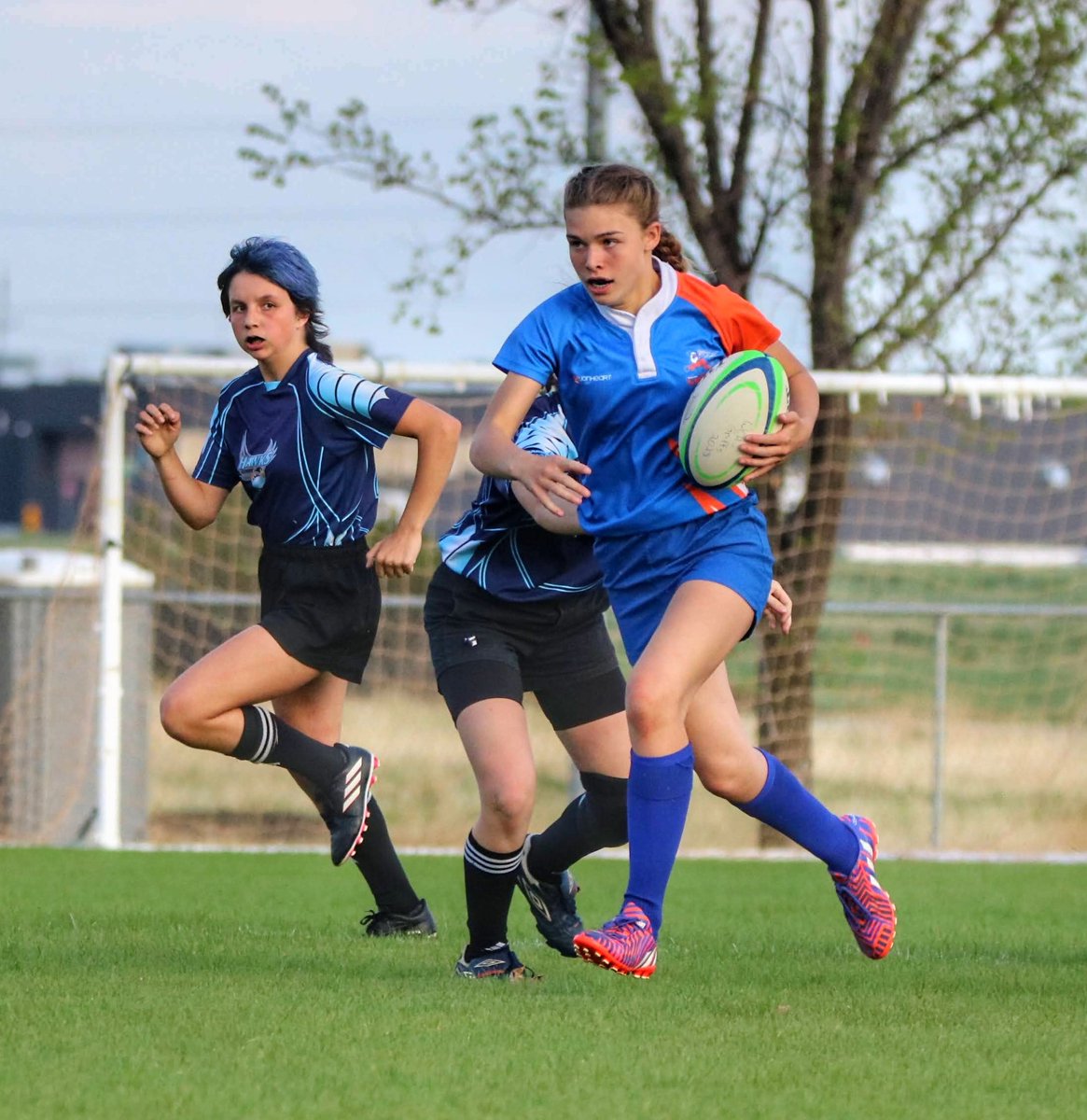 Jace Forsyth tweet media