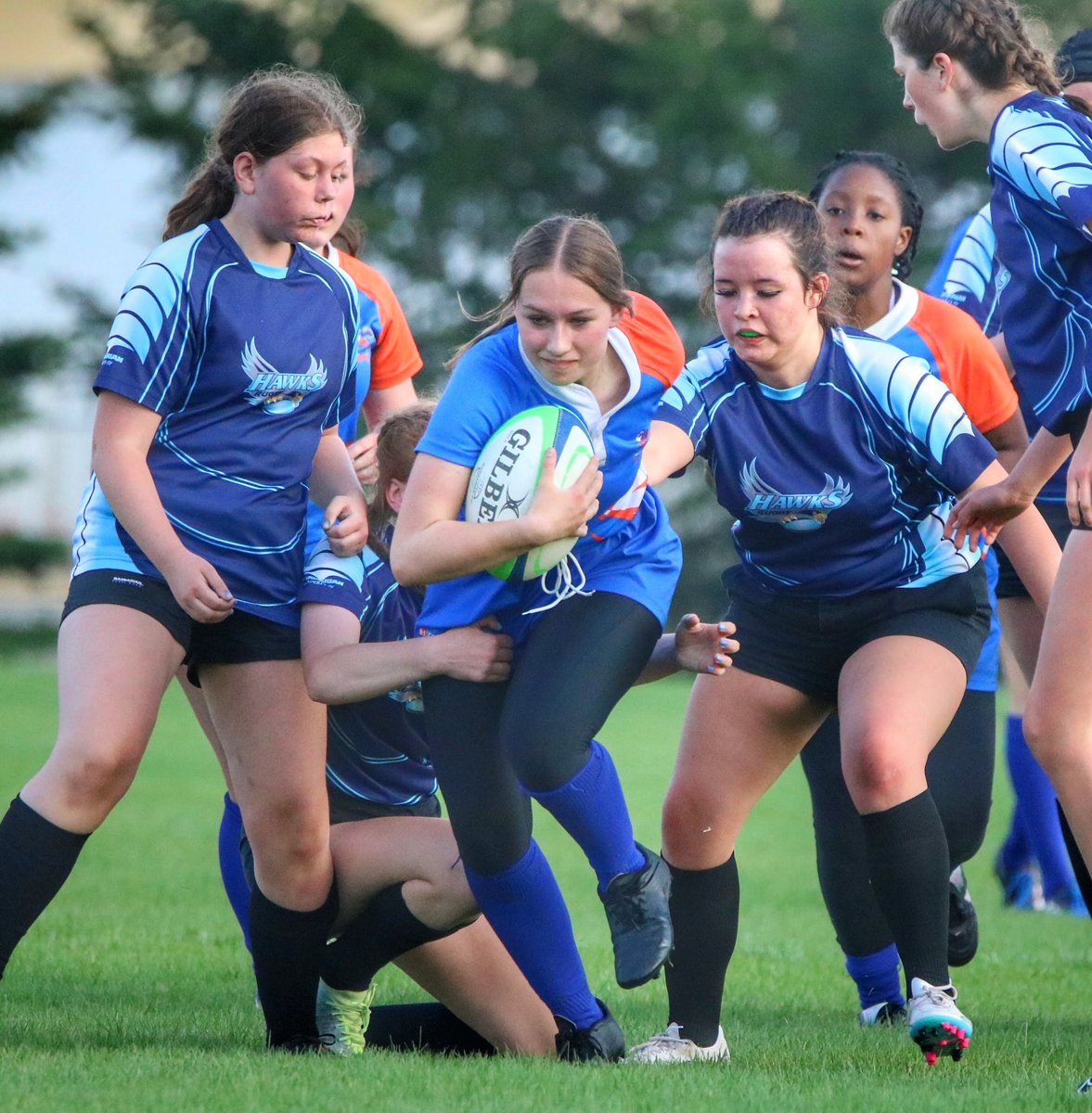 Jace Forsyth tweet media