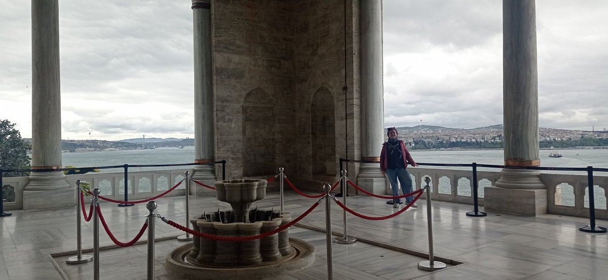écoles'logie ❤🌳🌻🌈 tweet media