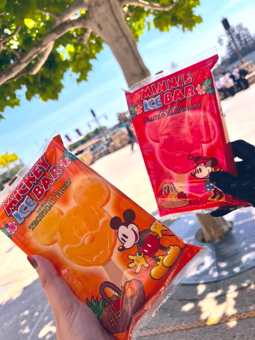keiちゃんとクルエラコーデでディズニーシー ミッキーじゃないよ 天気良くて空いてたし大充実～～～!! ソアリンめちゃ良かった
